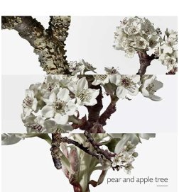 Un Jardin sur le Toit - Eau de toilette Un Jardin sur le Toit - Eau de toilette
